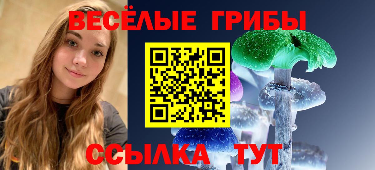 Борзя  Галлюциногенные грибы Magic Shrooms  Псилоцибиновые грибы ЛСД  что такое наркотик  Вход с VPN 